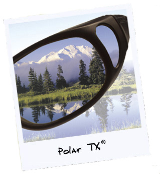 PolarTX 