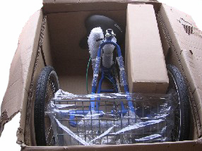 adult three wheel bicycle in shipping package
