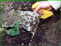 EAsy Grip Weeder