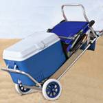 All In One Cart OEM820109