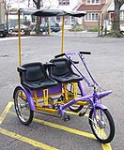 WMSBST - Side by Side Adult Tricycle
